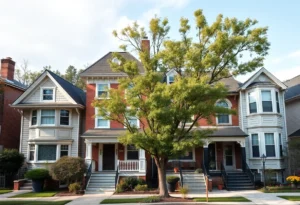 Before-and-after home renovations in a vibrant neighborhood